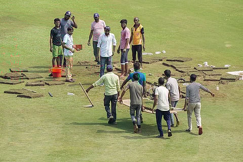 Afghanistan Vs New Zealand Test: Groundsmen put grass patches on the ground